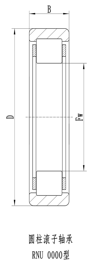 15-16_圓柱滾子軸承(無內(nèi)圈)_06